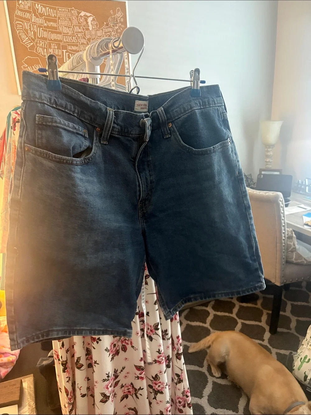 Levi's Men's Dark Indigo Denim Shorts
